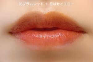 05プラムレッド+忍ばせイエロー